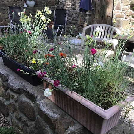 Spacious, Rustic Studio Space For 2 Persons Saint-Cyr-du-Bailleul エクステリア 写真