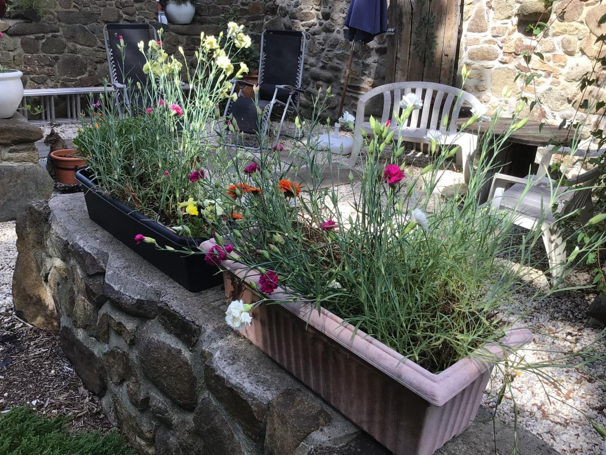 Spacious, Rustic Studio Space For 2 Persons Saint-Cyr-du-Bailleul エクステリア 写真